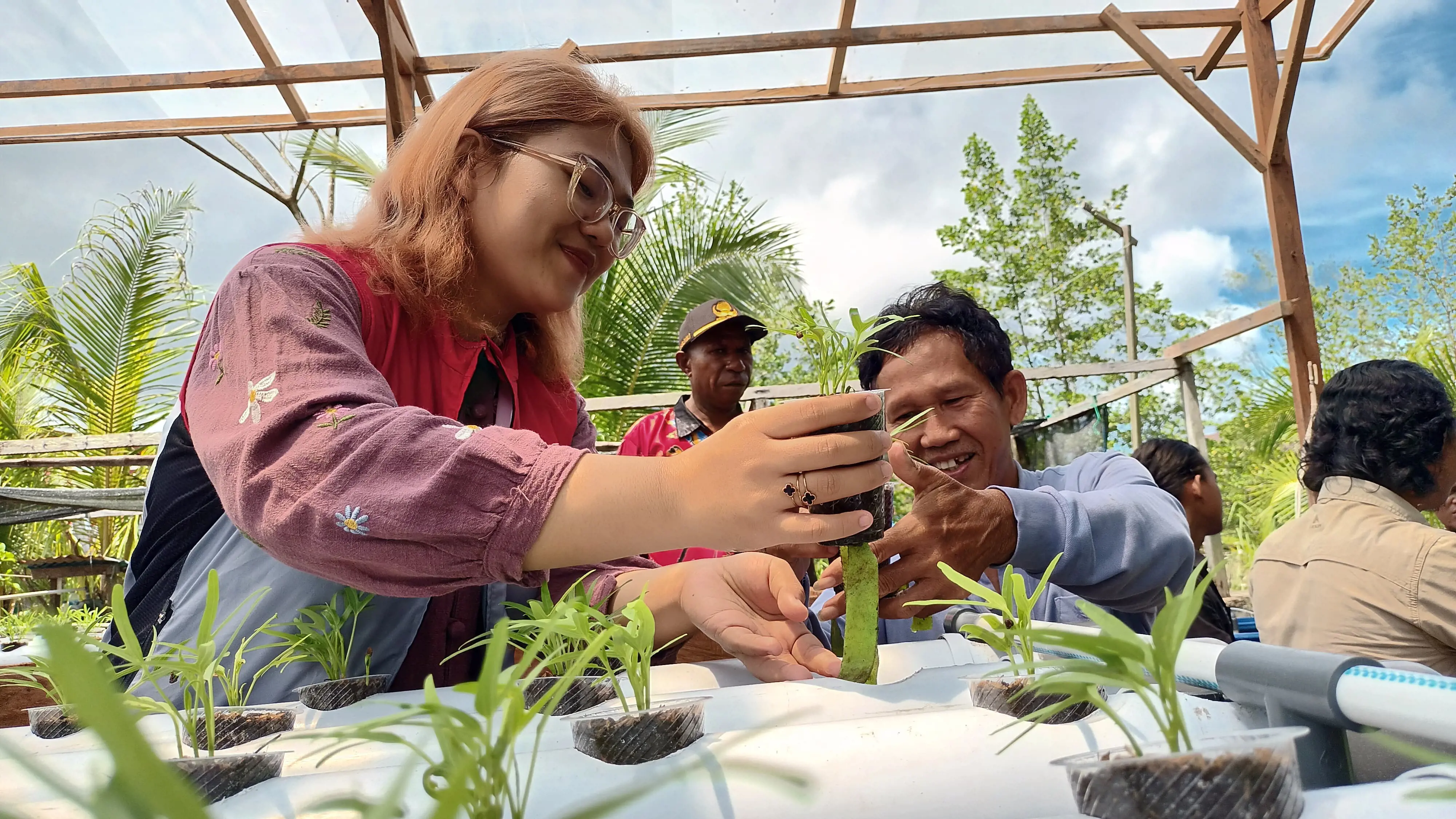 SKK Migas-Pertamina EP Papua Gelar Pelatihan BUKAN TANI, Tingkatkan Kemandirian Pangan Kampung Maladuk